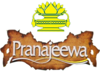 Pranajeewa Products